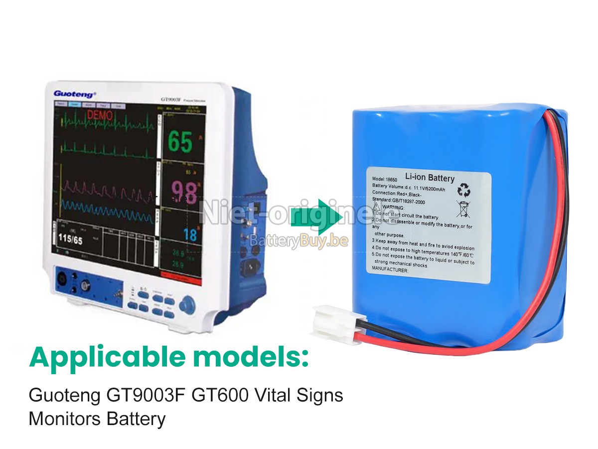 Guoteng GT600 accu