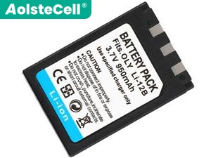 laptop accu voor Olympus Camedia X-2