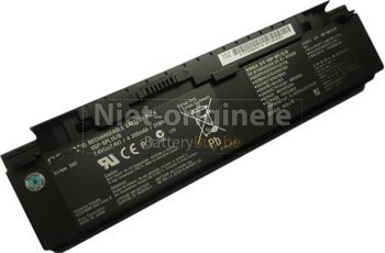 2 Cellen 2100mAh Sony VAIO VGN-P17H/R batterij