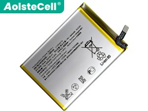 laptop accu voor Sony SNYSCA6