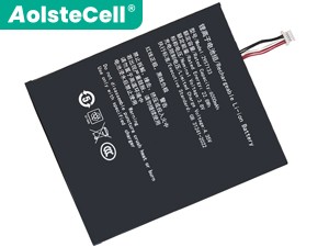 laptop accu voor Teclast TA10